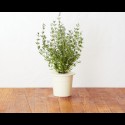 Сменный картридж Click and Grow Тимьян