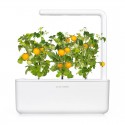Сменный картридж Click and Grow Желтые мини-томаты
