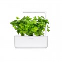 Сменный картридж Click and Grow Селера