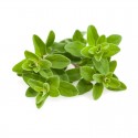 Сменный картридж Click and Grow Майоран
