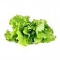 Сменный картридж Click and Grow Салат Зеленый 
