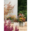 Вазон Balconera Color 50 Білий 