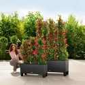 Вазон Balconera Trio Cottage 30 Гранит 