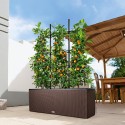 Вазон Balconera Trio Cottage 30 Moкка