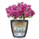 Вазон Classico Color 28 Сірий