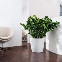 Вазон Classico Color 35 Білий