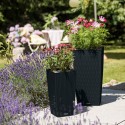 Вазон Cubico Cottage 30 Графітовий чорний 
