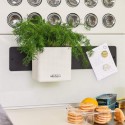 Вазон Green Wall Home Kit Color белый