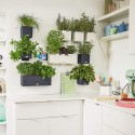 Вазон Green Wall Home Kit Color белый
