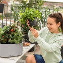 Вазон Pila Color Growpot Cвітло-сірий