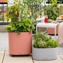 Вазон Pila Color Growpot Cвітло-сірий
