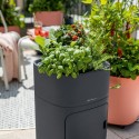 Вазон Pila Color Growpot Cірий